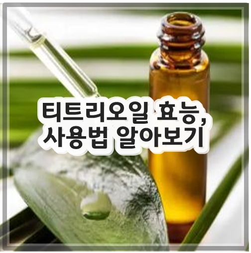 티트리오일 효능, 사용법 알아보기