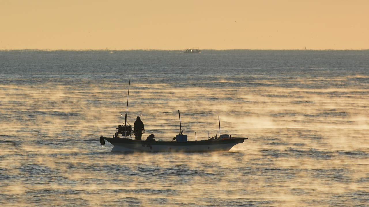 한국민속학 속 민속사회의 어업과 어로신앙
