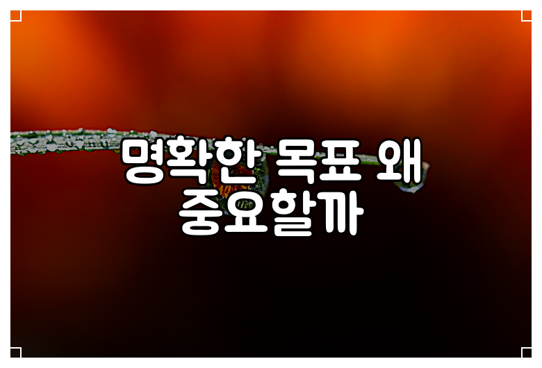 명확한 목표 왜 중요할까