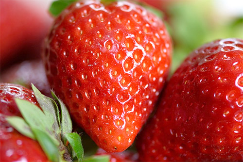 딸기 성분