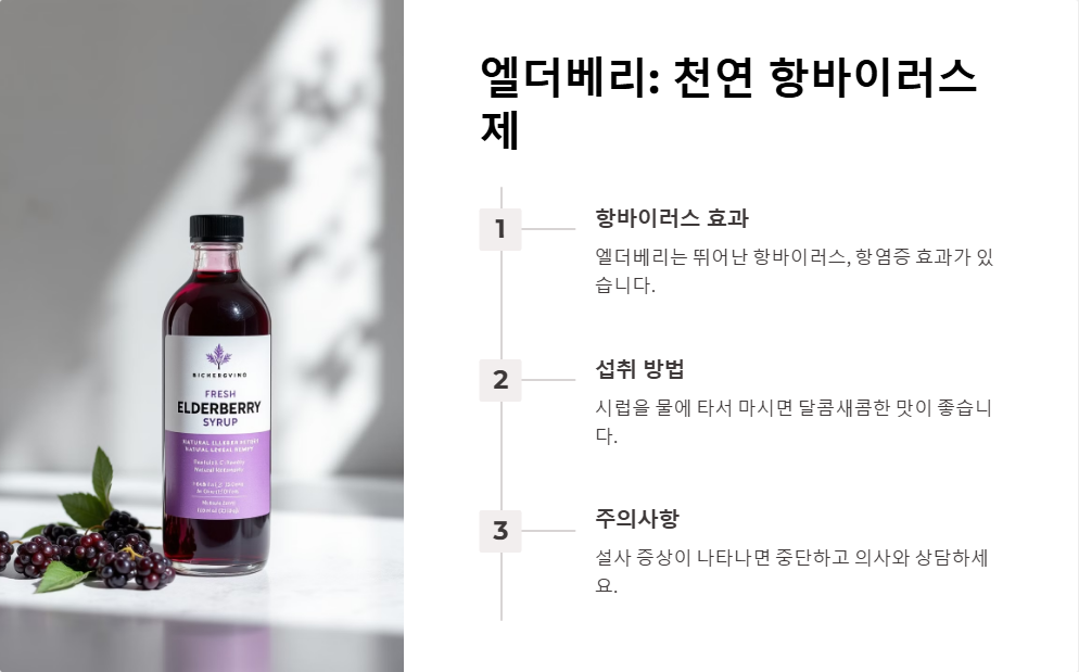 면역력 강화 보조제 추천