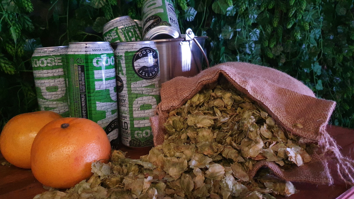 구스아일랜드-25