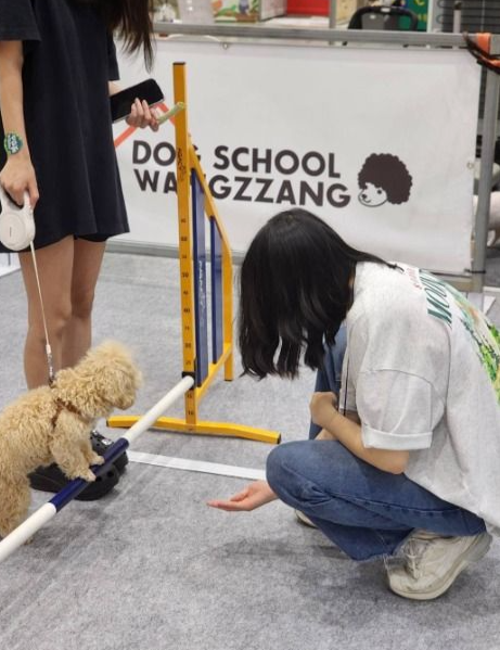 대한민국 펫캉스