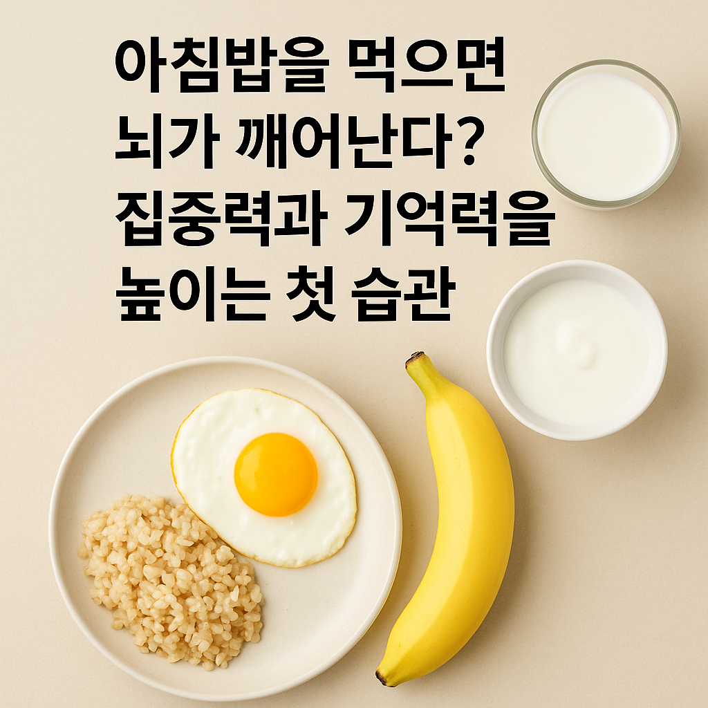 아침밥을 먹으면 뇌가 깨어난다? 집중력과 기억력을 높이는 첫 습관