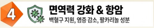 당근 효능
