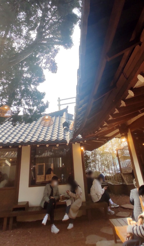 연인들이 서로 마주앉아 하늘을 바라보며 차를 마시고있음