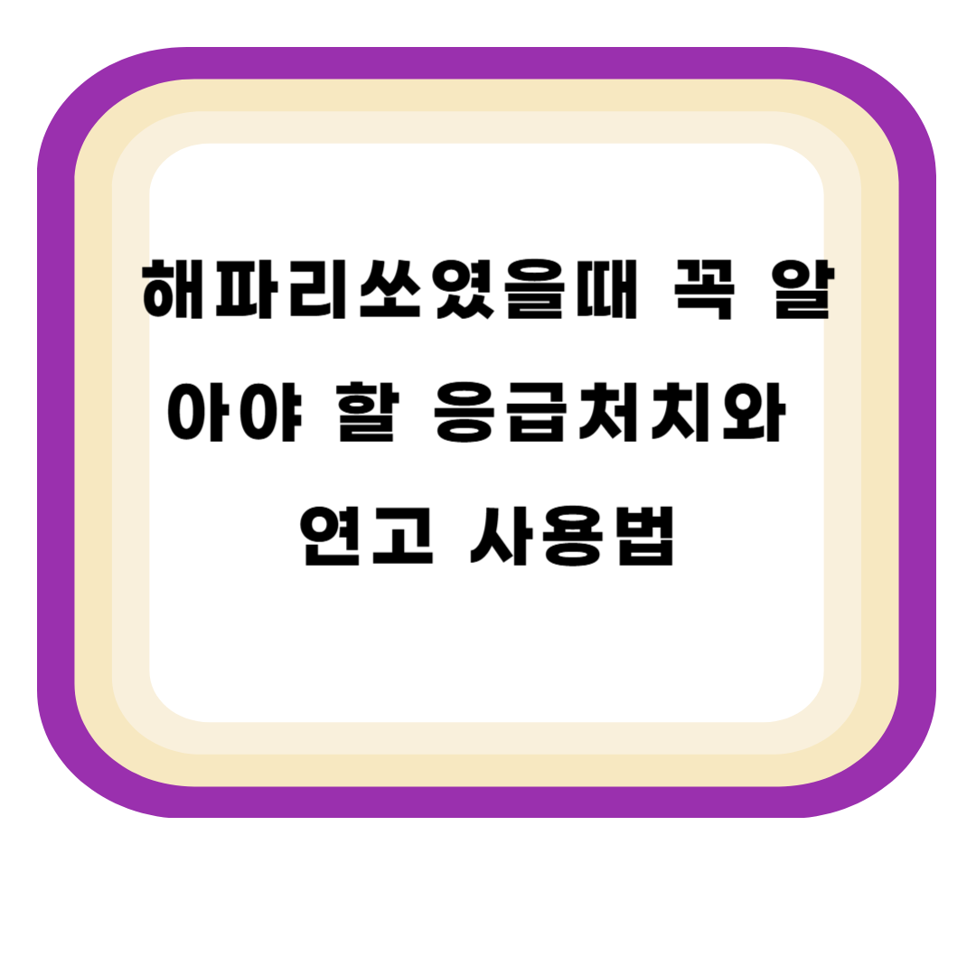 해파리쏘였을때 꼭 알아야 할 응급처치와 연고 사용법