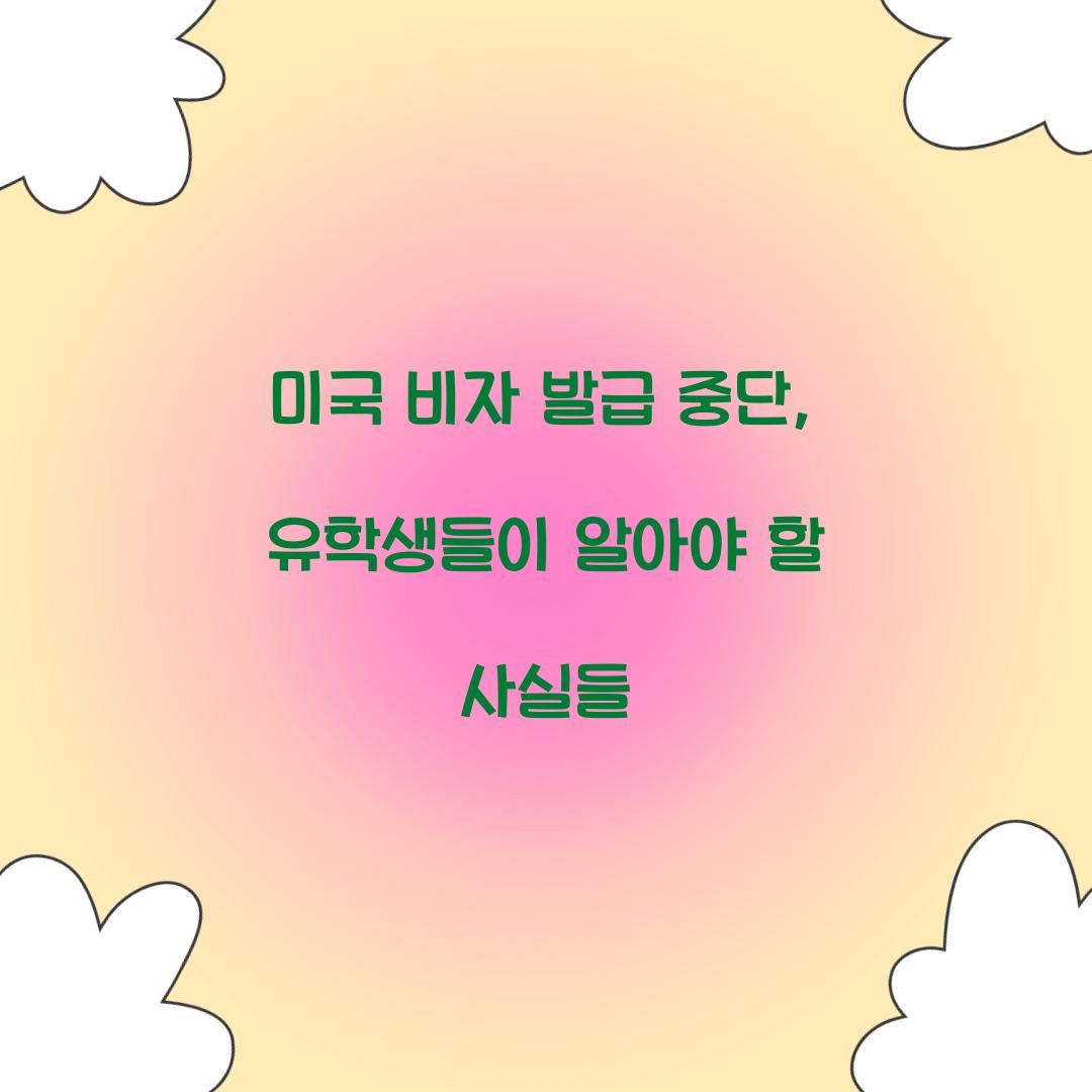 미국 비자 발급 중단