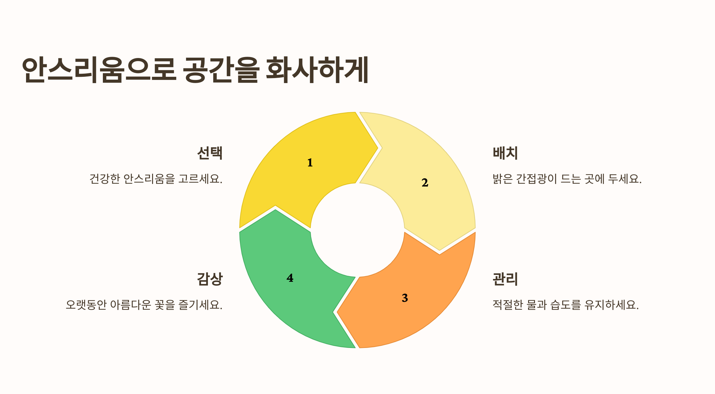 아스리움 꽃 사진