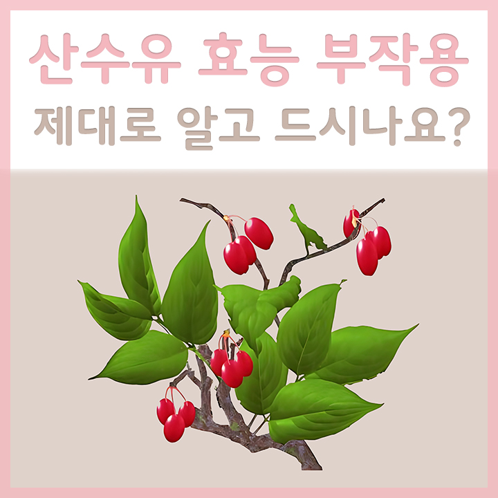 산수유