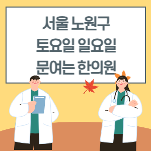 서울 노원구 토요일 일요일 한의원 진료 병원 리스트