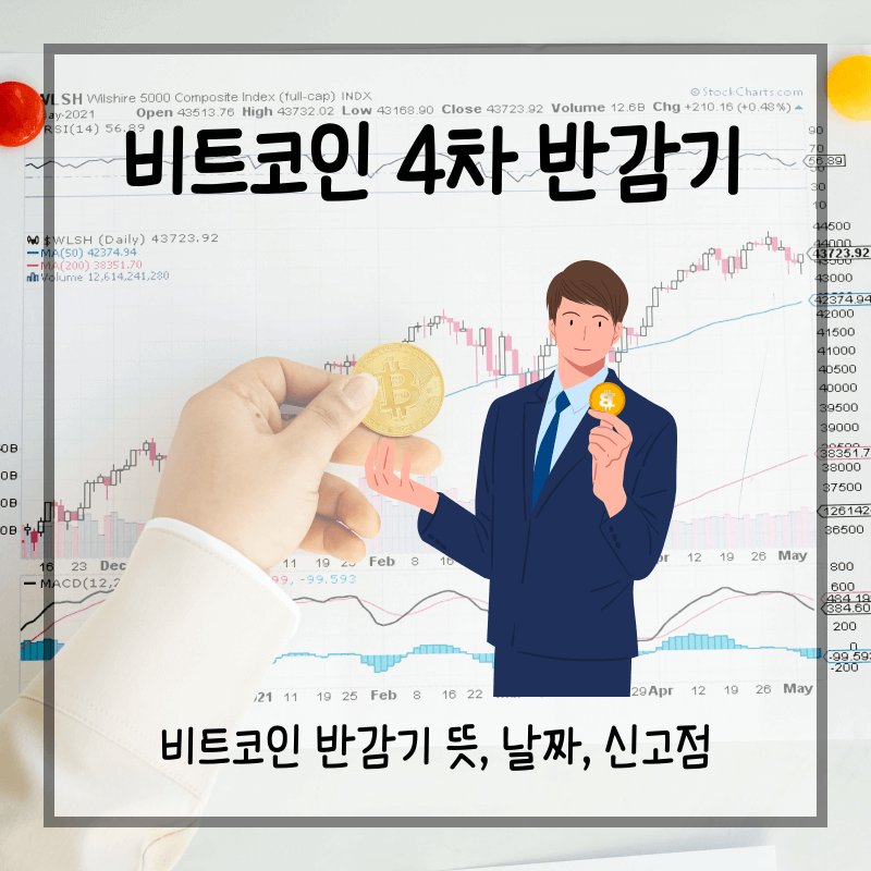 비트코인 반감기