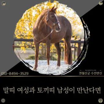 말띠 남녀 궁합 궁합표로 보는 결혼운 사랑운 종합 분석_15