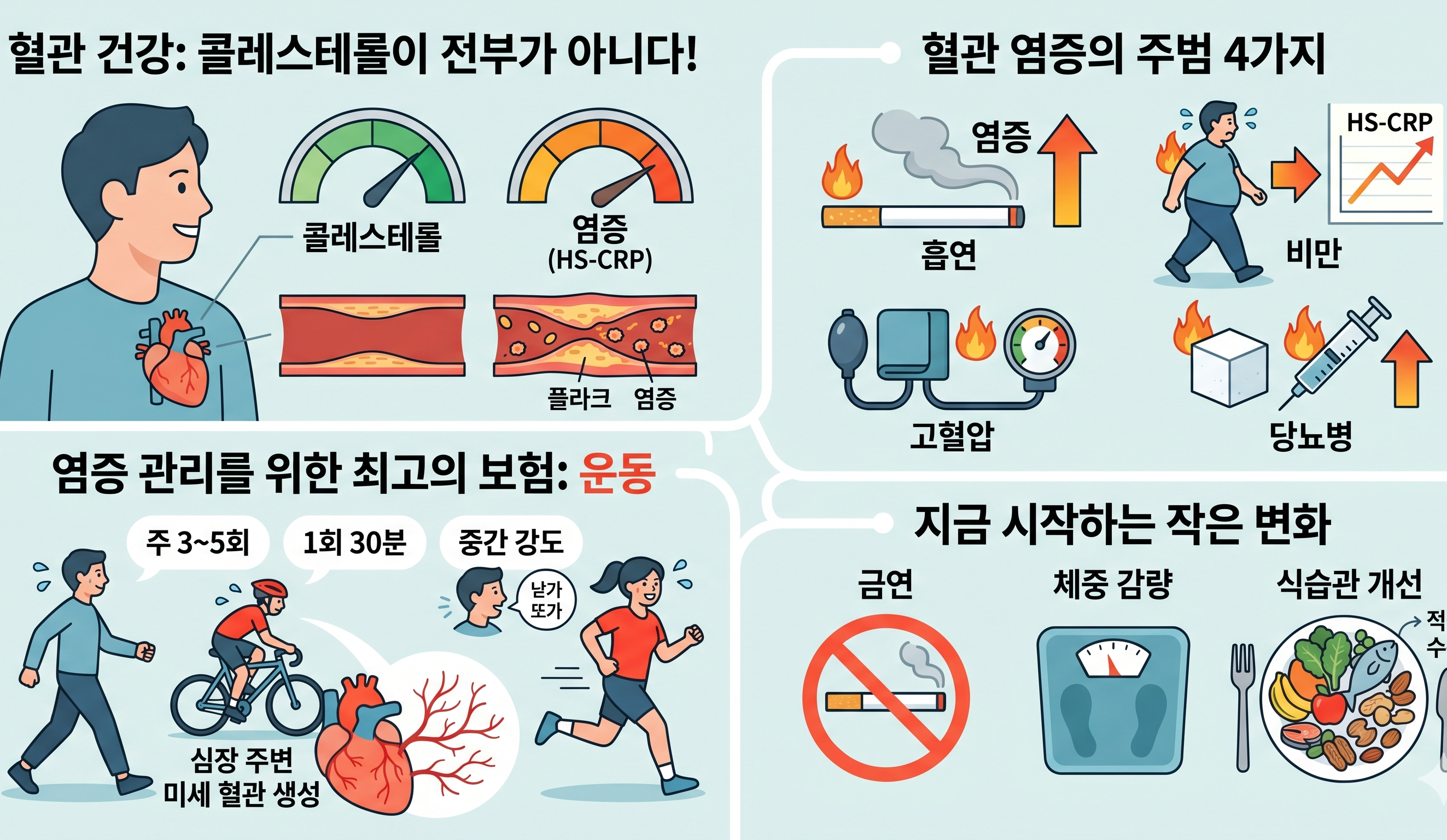혈관건강
