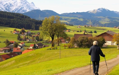 노인-기초연금-신청방법-자격조건