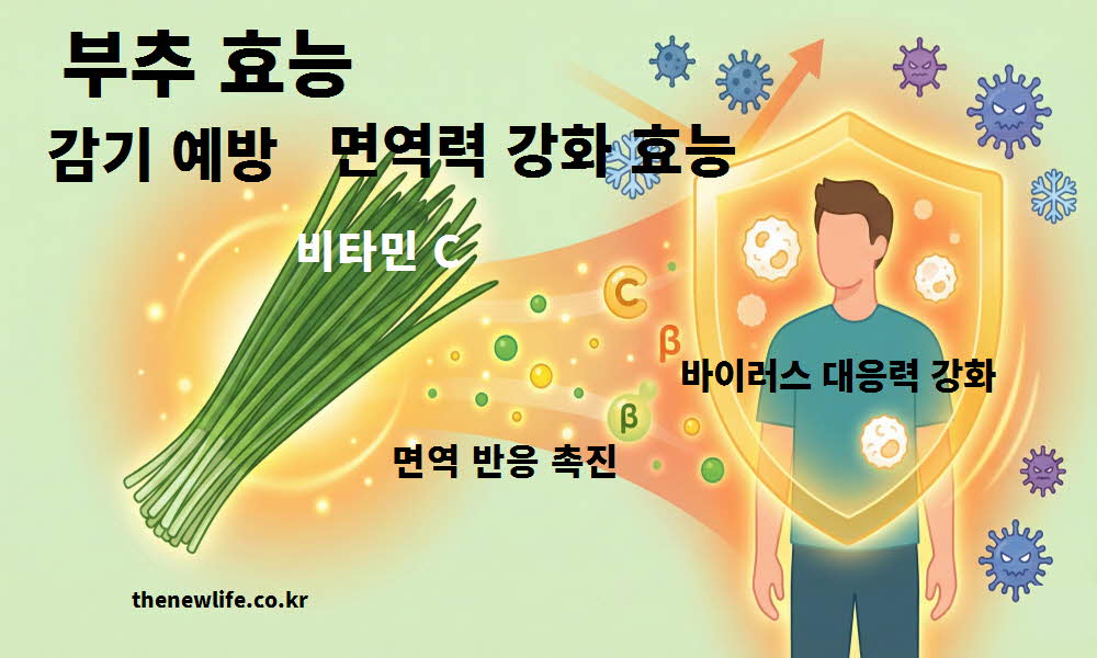 부추 효능 감기 예방 면역력 강화