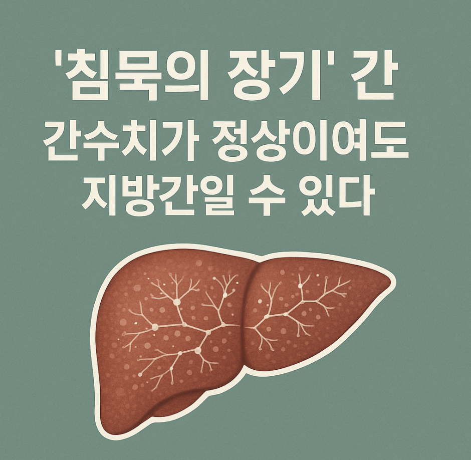 '침묵의 장기' 간, 간수치가 정상이여도 지방간일 수 있다