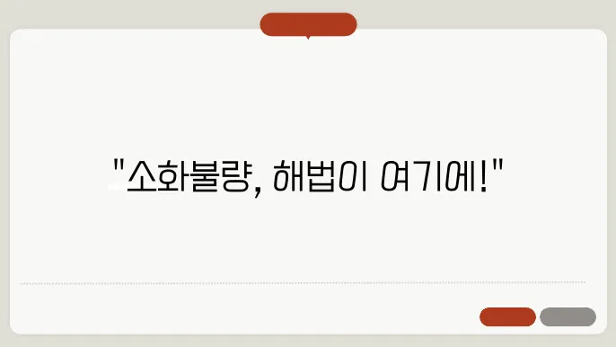 소화 건강을 위한 생활습관