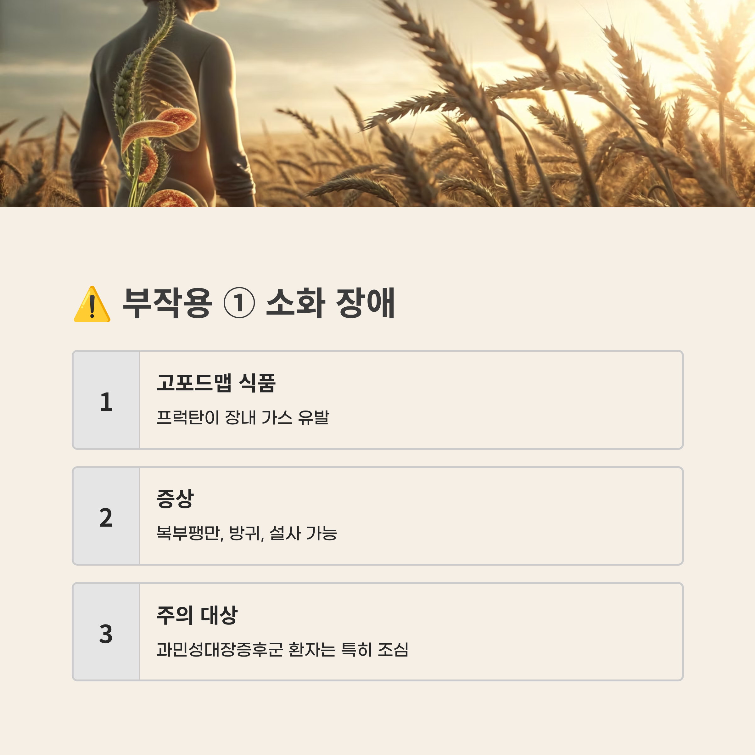 귀리 효능과 부작용 2025 완벽 가이드 – 슈퍼푸드 효능과 숨겨진 함정 총정리!