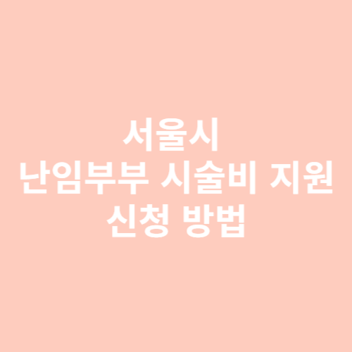 난임부부 시술비 지원