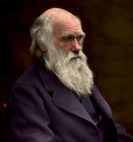 아스퍼거 증후군 유명인