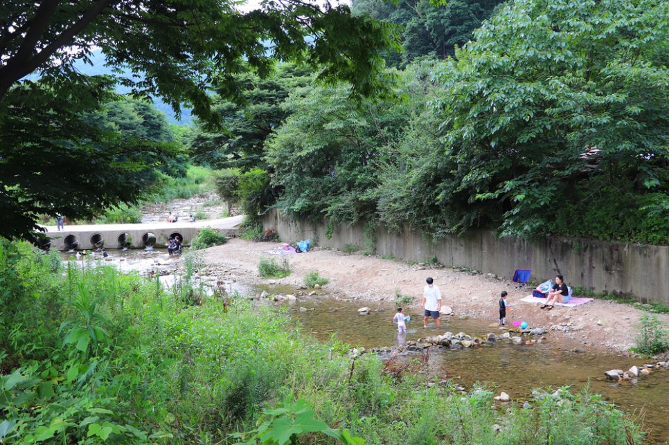 용인 묵리계곡