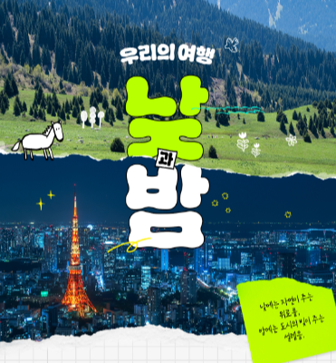 이스타항공 특가 이벤트 완벽 분석