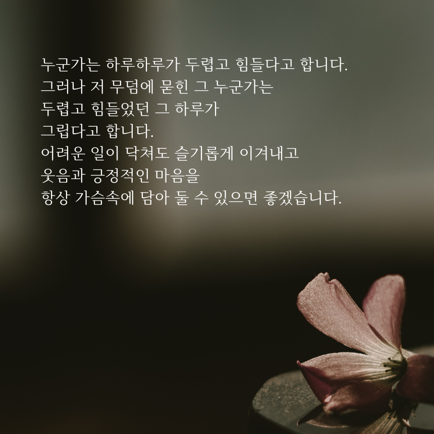 아침 인사로 좋은 글귀 이미지 문구 모음