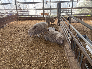 아그로랜드 체험목장