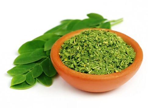 모링가잎 부작용