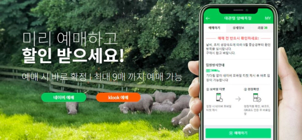 대관령 양떼목장 할인 예매 방법