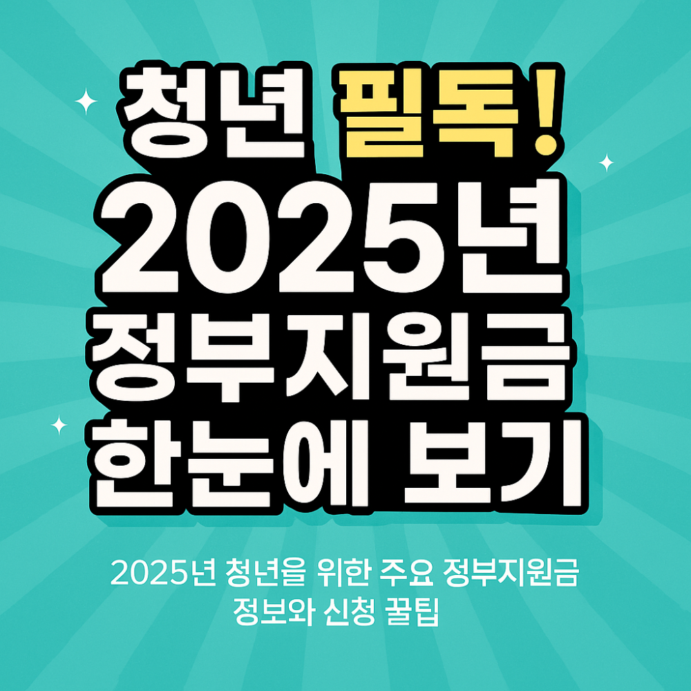 청년 필독! 2025년 정부지원금 한눈에 보기 인포그래픽