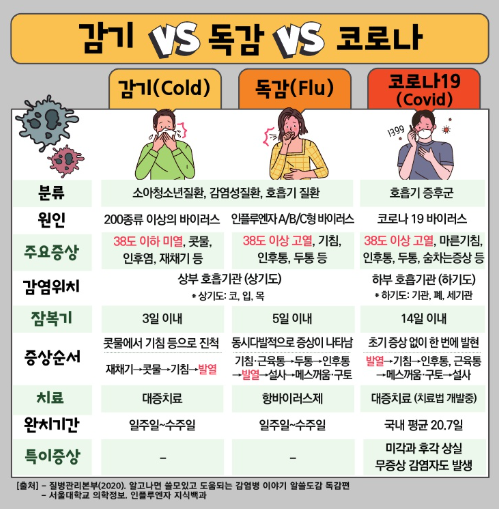 독감과 감기의 차이, 코로나 증상
출처 : 한국청소년활동진흥원