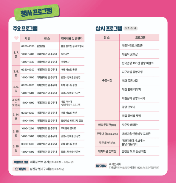 광양 매화 축제 