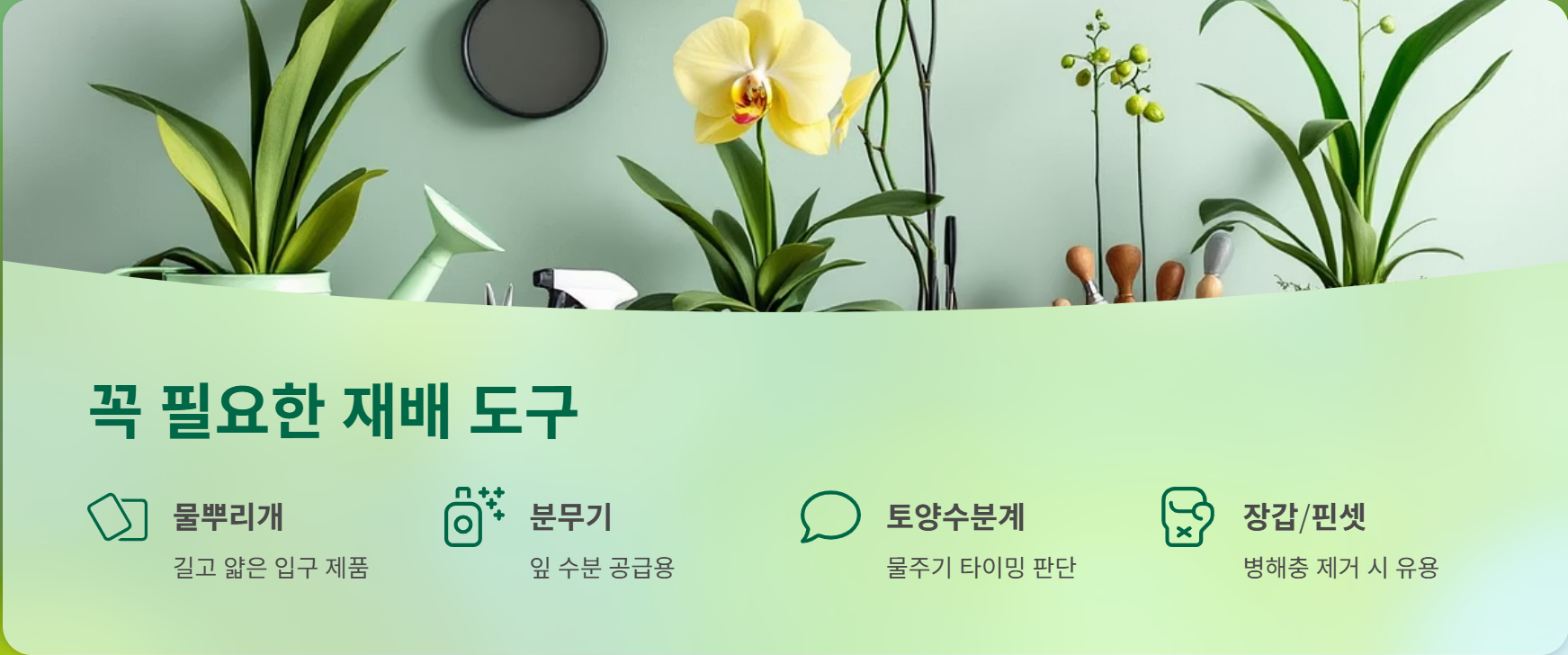 동양란 재배에 꼭 필요한 도구들