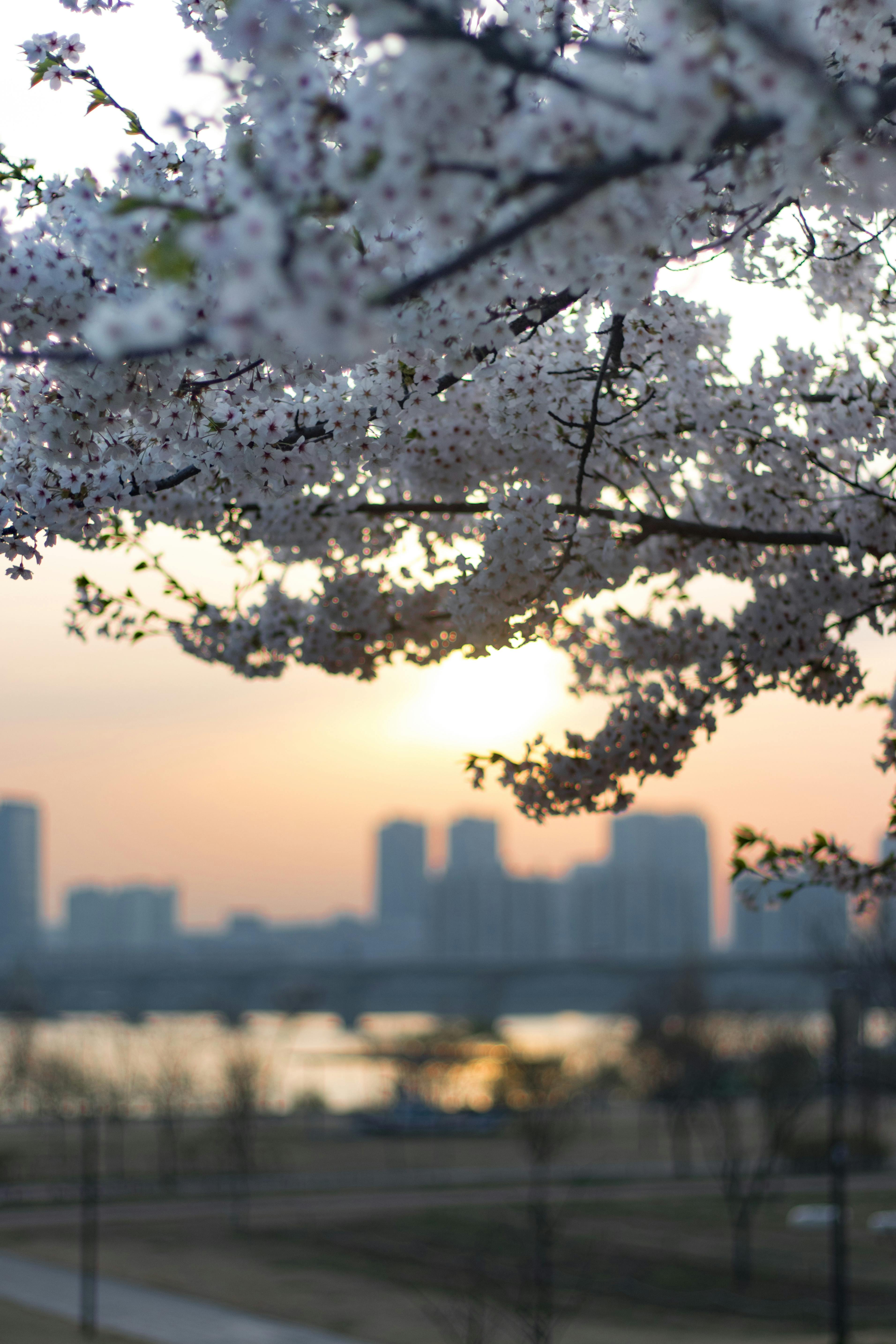 서울 가볼만한 곳