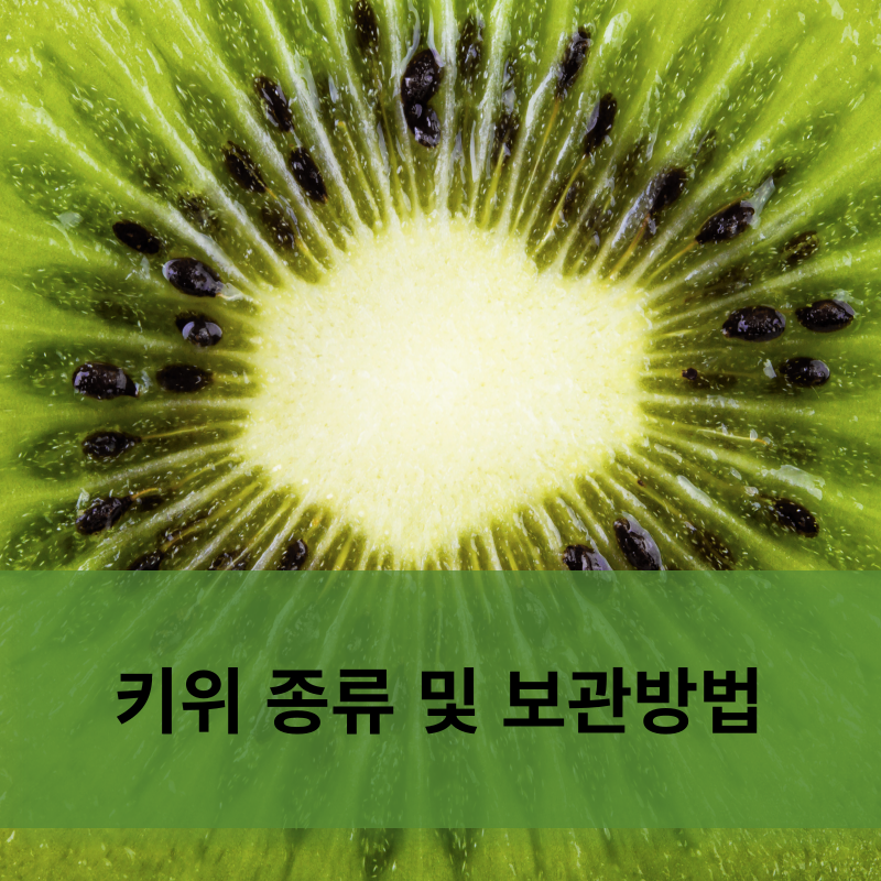 키위 종류 및 보관방법 보관법 효능 종류