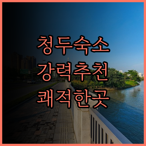 청두 수시 경량 사치 서비스 아파트.