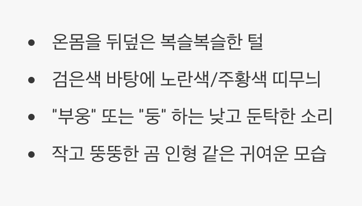 숲속의 귀여운 털북숭이&amp;#44; 생김새