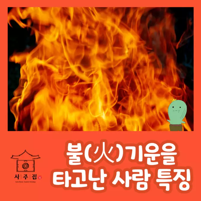 불 특징을 다룬 포스트의 썸네일