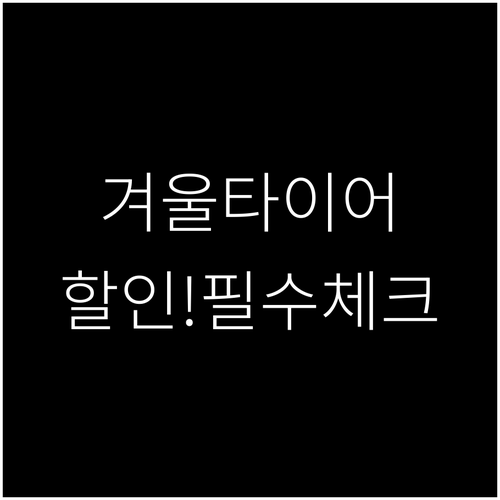 겨울 타이어 할인 혜택과 장착 예약 ..