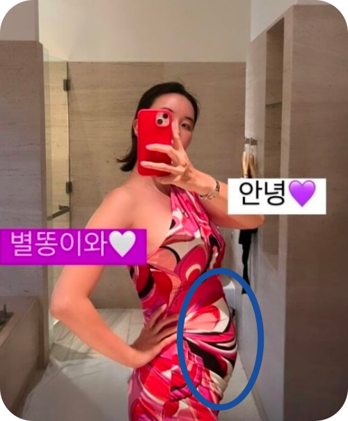 장미인애