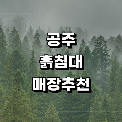공주시 흙침대