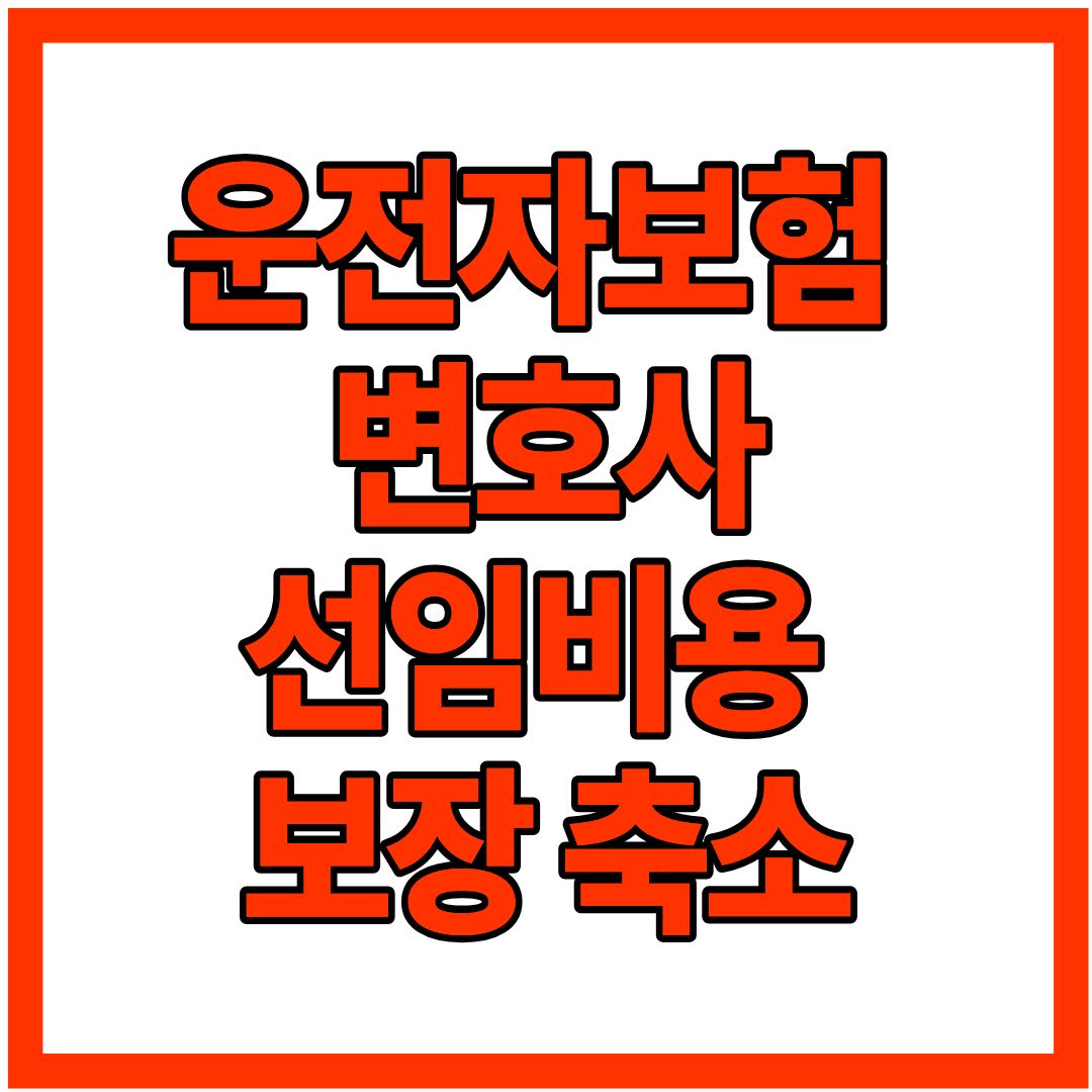 운전자보험 변호사선임비용 보장 축소! 12월 전 가입해야 하는 이유