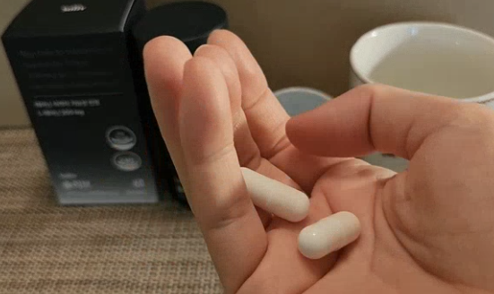 솔리브 글리토닌 내돈내산 