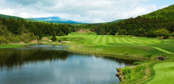 인기 골프장! 제주도 '클럽나인브릿지' 골프장 소개