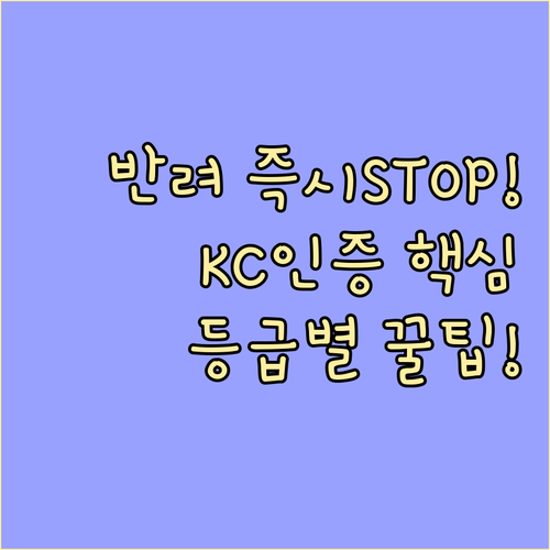 유니패스 통관 반려 막는 KC 안전인..