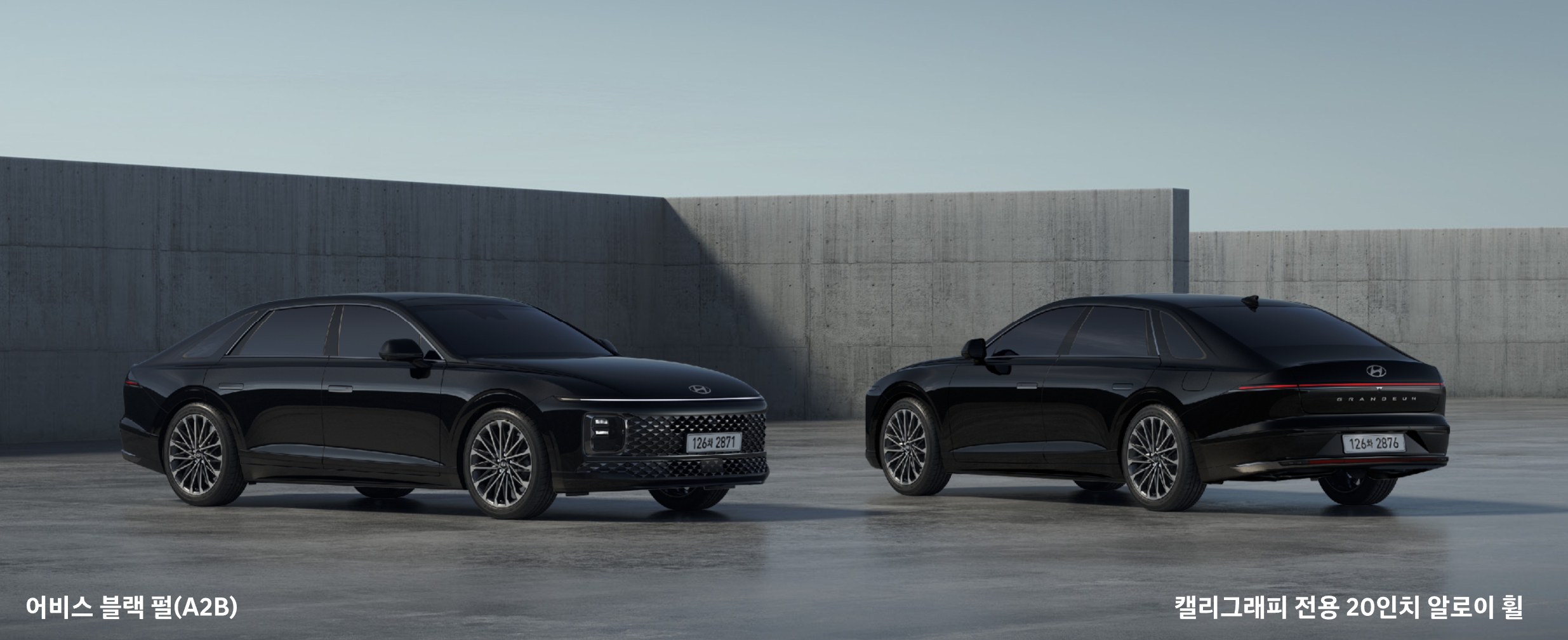 어비스 블랙 펄(색상 코드 : A2B)