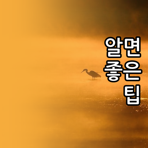 효과적인 구글 SEO 전략 콘텐츠 키..