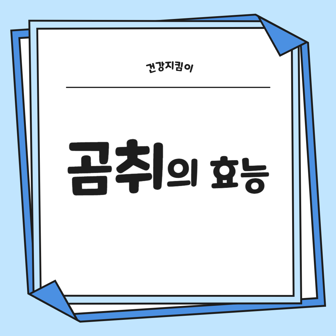 곰취나물 효능 부작용 고르는법 먹는법 칼로리